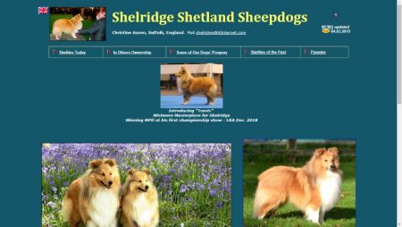 web hosting for Shelridge Shetland Sheepdogs