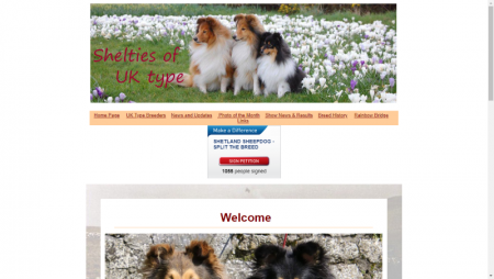 Shelties of UK Type